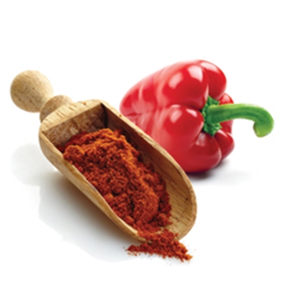 Picture of LAMB BRAND SMOKED PAPRIKA50GR